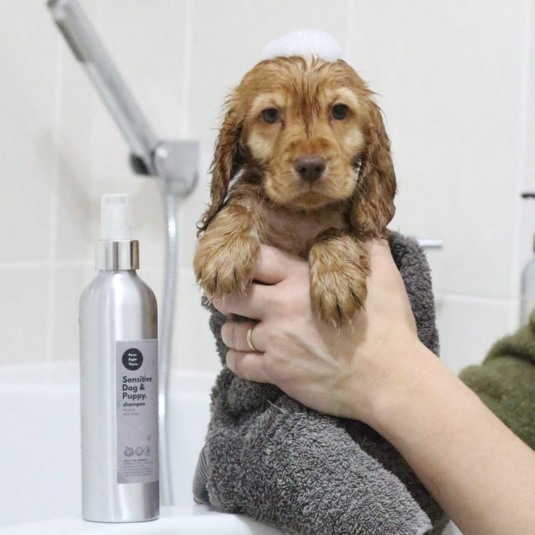 Dog Shampoo