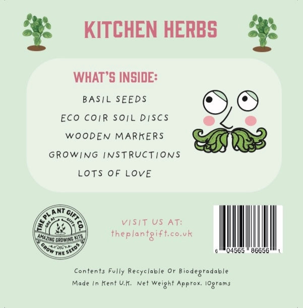Kitchen Herb. Eco Mini Basil Grow Kit.