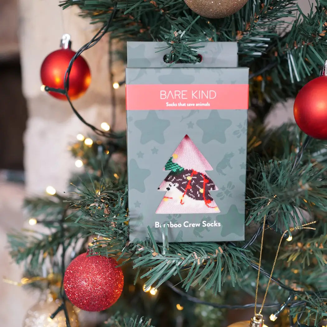 Highland Cow Christmas Bauble Socks | Festive Wildlife Gift