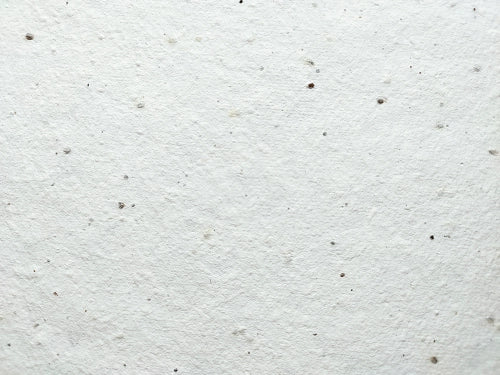 Father's Day Card - Plantable Greeting Card - Father Dictionary