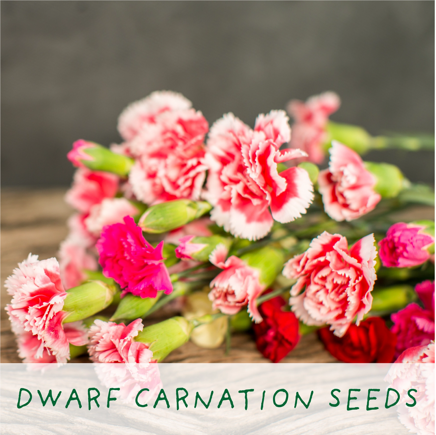 Seeds of Love. Eco Grow Your Own Plant Kit, Gardening Kit