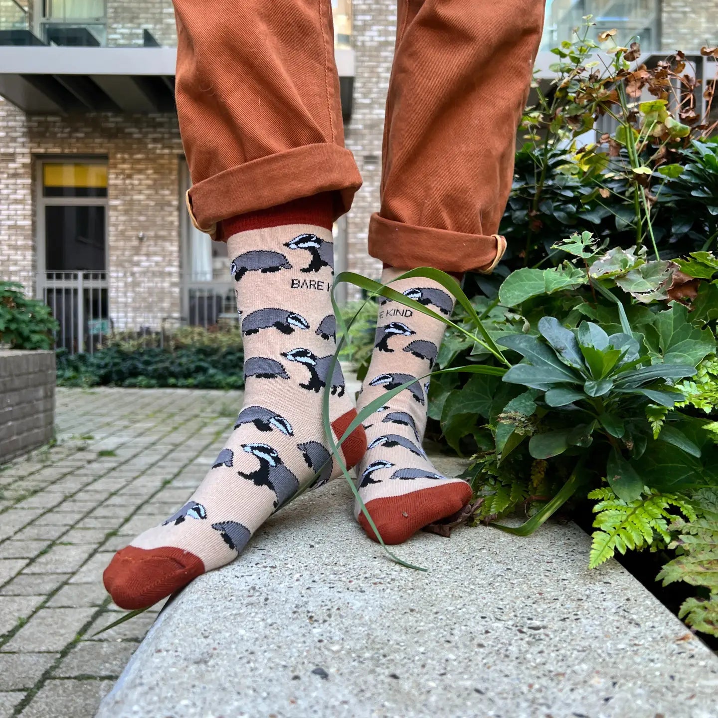 Uk Wildlife Socks | Bamboo Socks Gift Box | 3 Pairs Socks