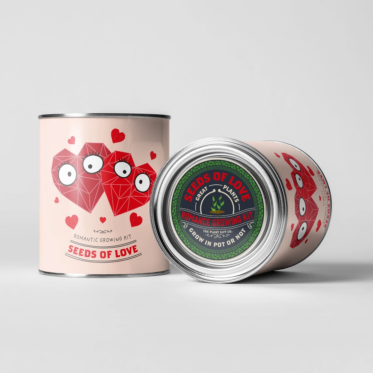 Seeds of Love. Eco Grow Your Own Plant Kit, Gardening Kit