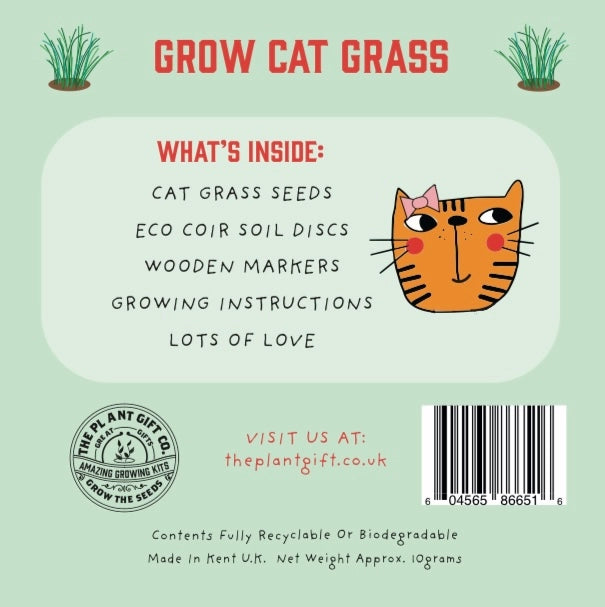 Cat Grass Mini Grow Kit
