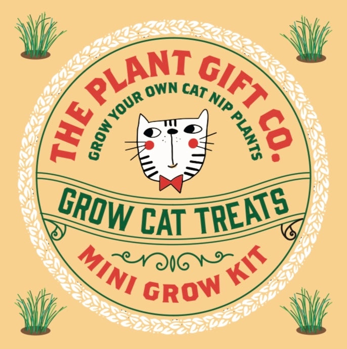 Grow Cat Treats. Cat Nip Seeds | Cat Lovers Eco Mini-Grow-Kit