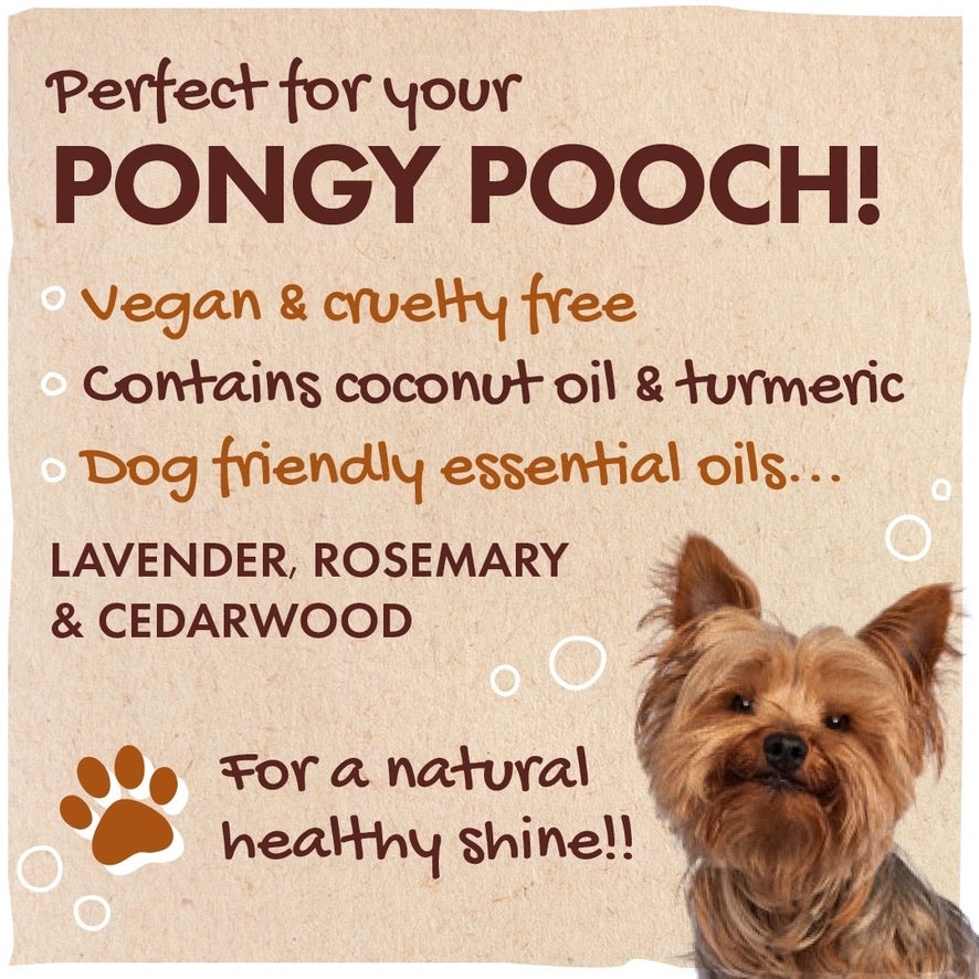 Friendly Soap | Dog Shampoo