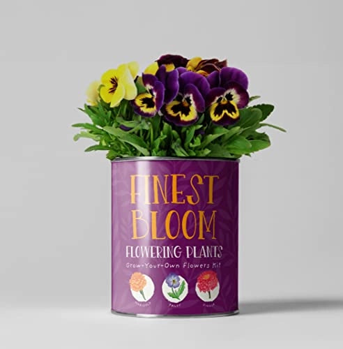 Finest Blooms. Eco Grow Your Own Flowers Gardening Kit.
