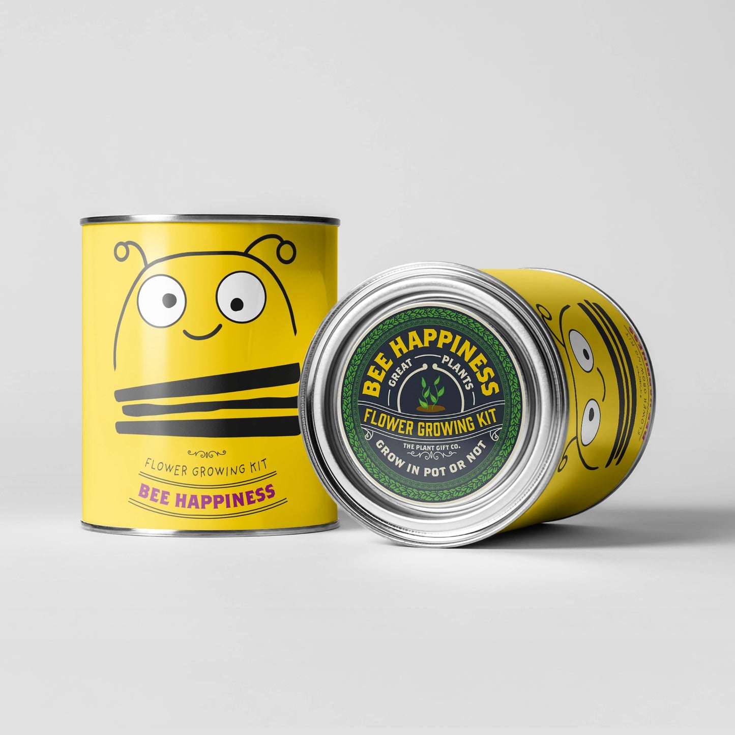 Big Bee Happiness Eco Plant Grow Kit, Gardening Gift