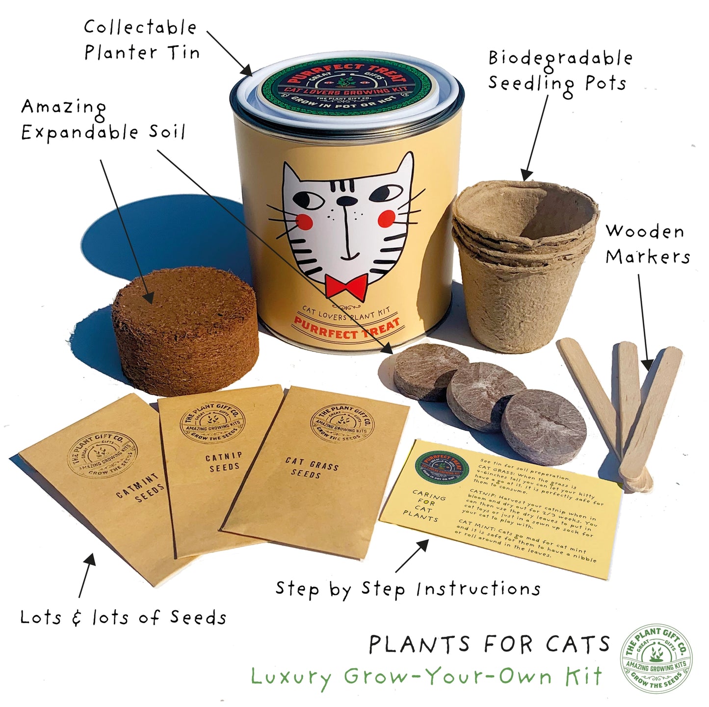 Purrfect Treat. Eco Grow Your Own Plant Kit, Gardening Kit. Cat Plants