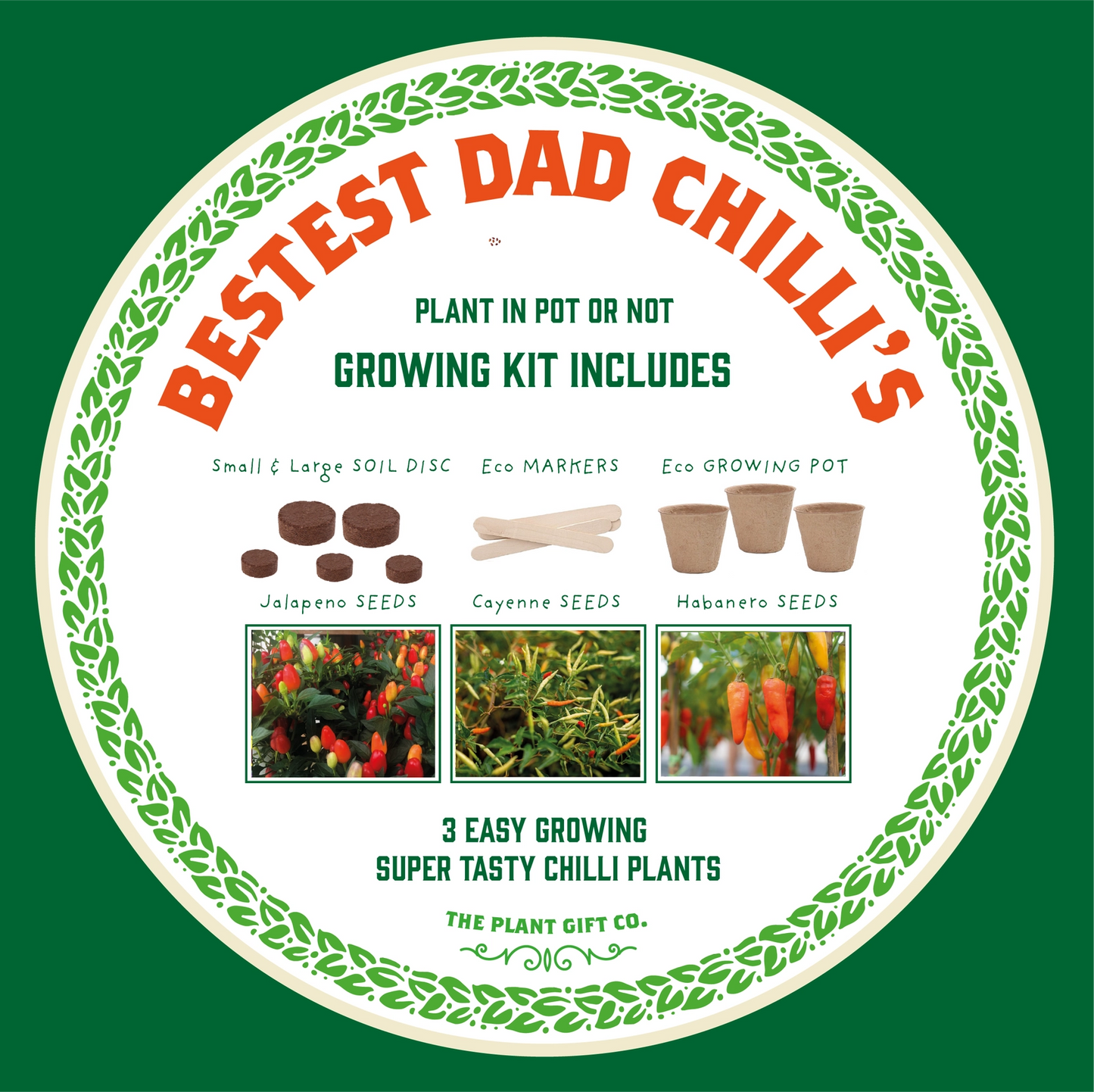 Chilli Growing Kit for Dad