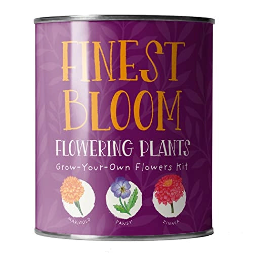 Finest Blooms. Eco Grow Your Own Flowers Gardening Kit.