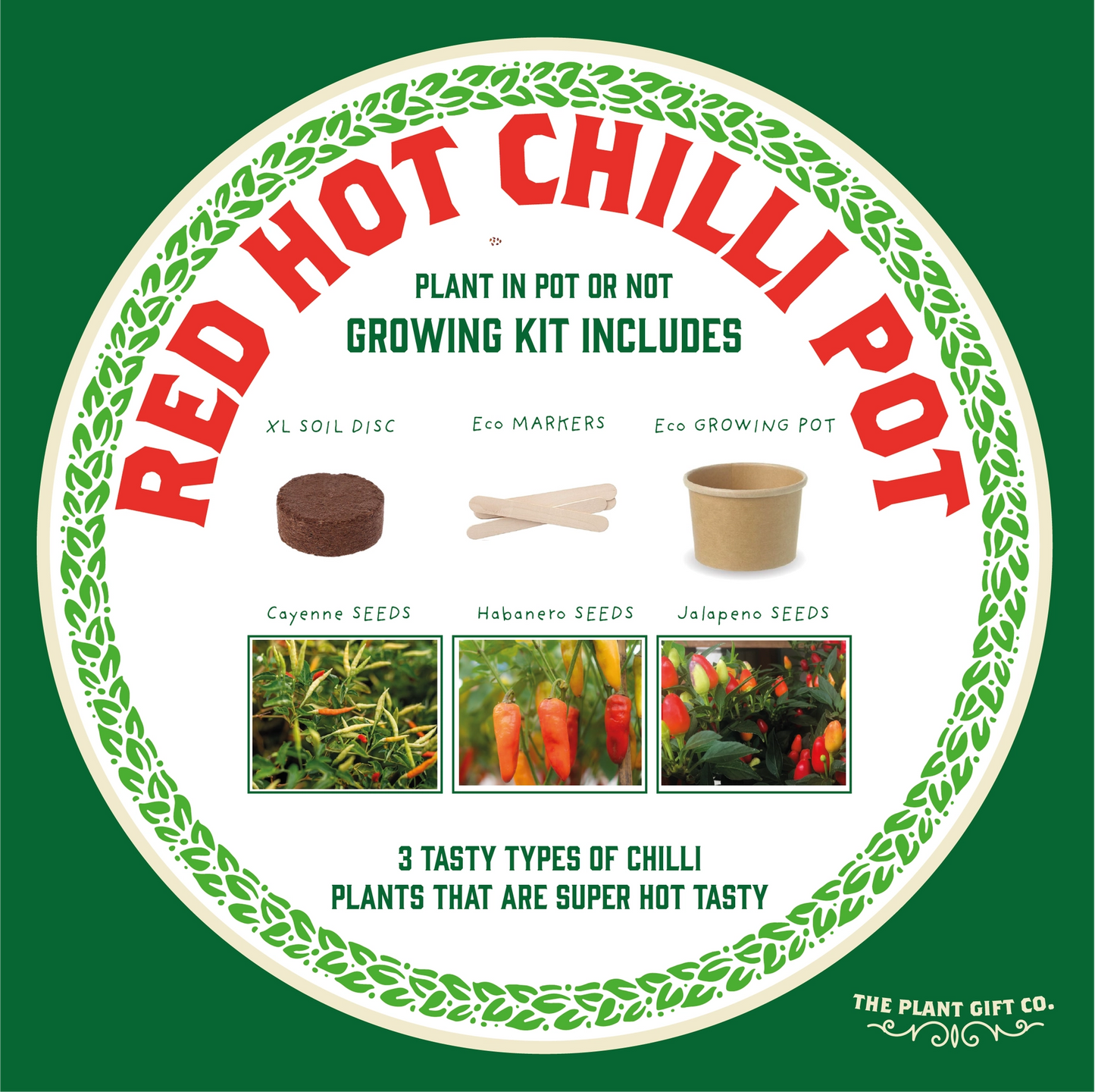 Red Hot Chilli Pot. Grow Your Own Plant Kit, Gardening Gift