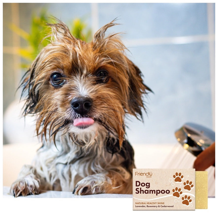 Friendly Soap | Dog Shampoo