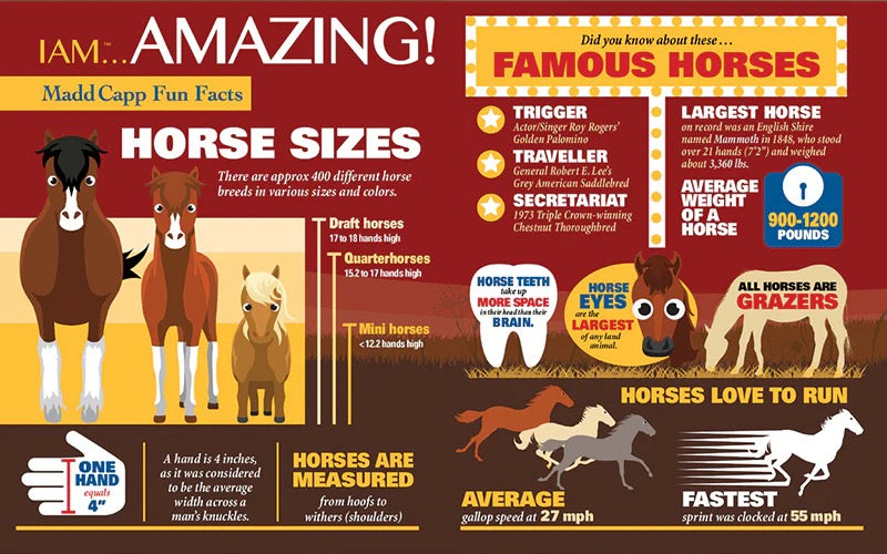 Madd Capp Games - I Am Horse Puzzle - 529 pieces.