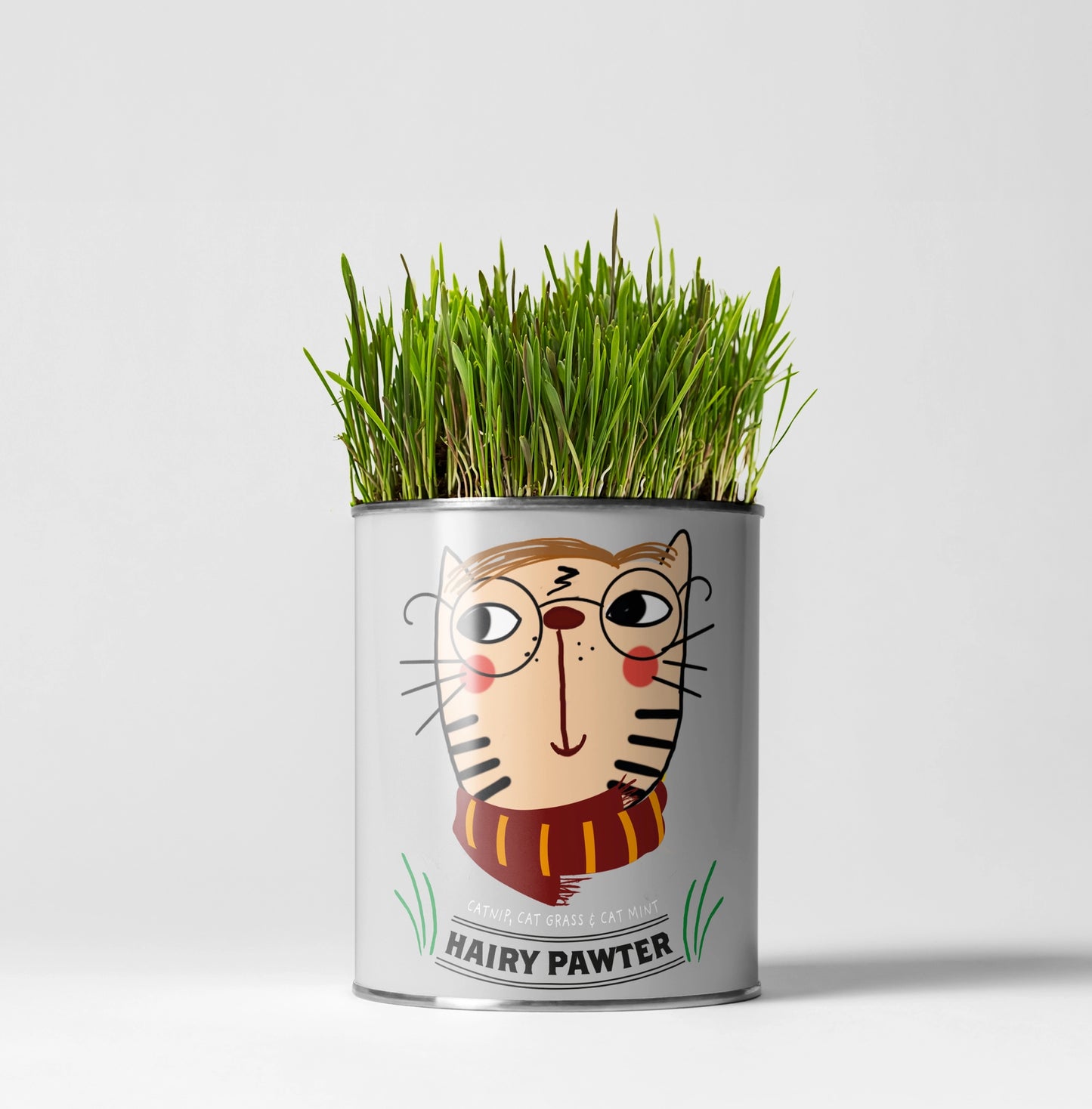 Hairy Pawter. Eco Grow Your Own Cat-Friendly Grow Kit.