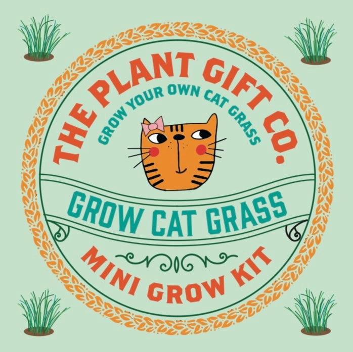 Cat Grass Mini Grow Kit
