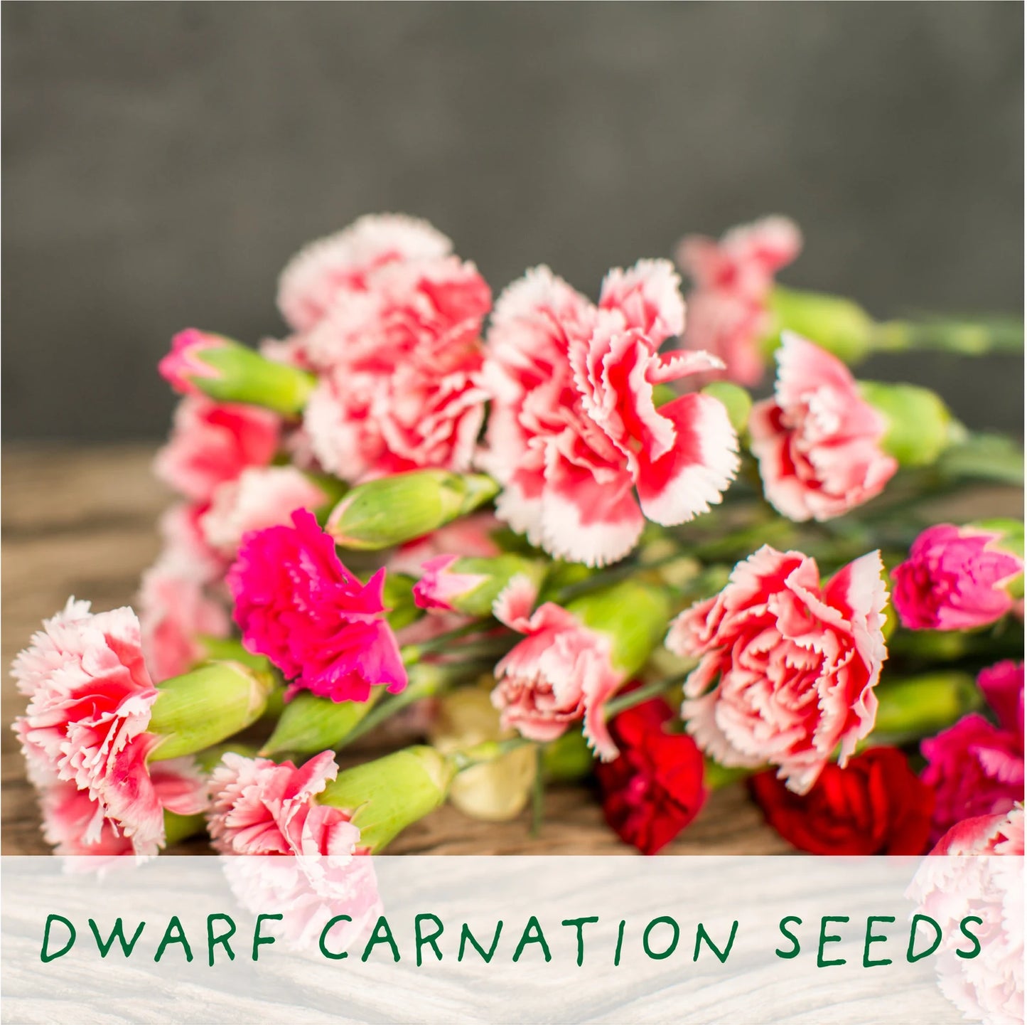 Just Married. Flowers of Love Growing Kit