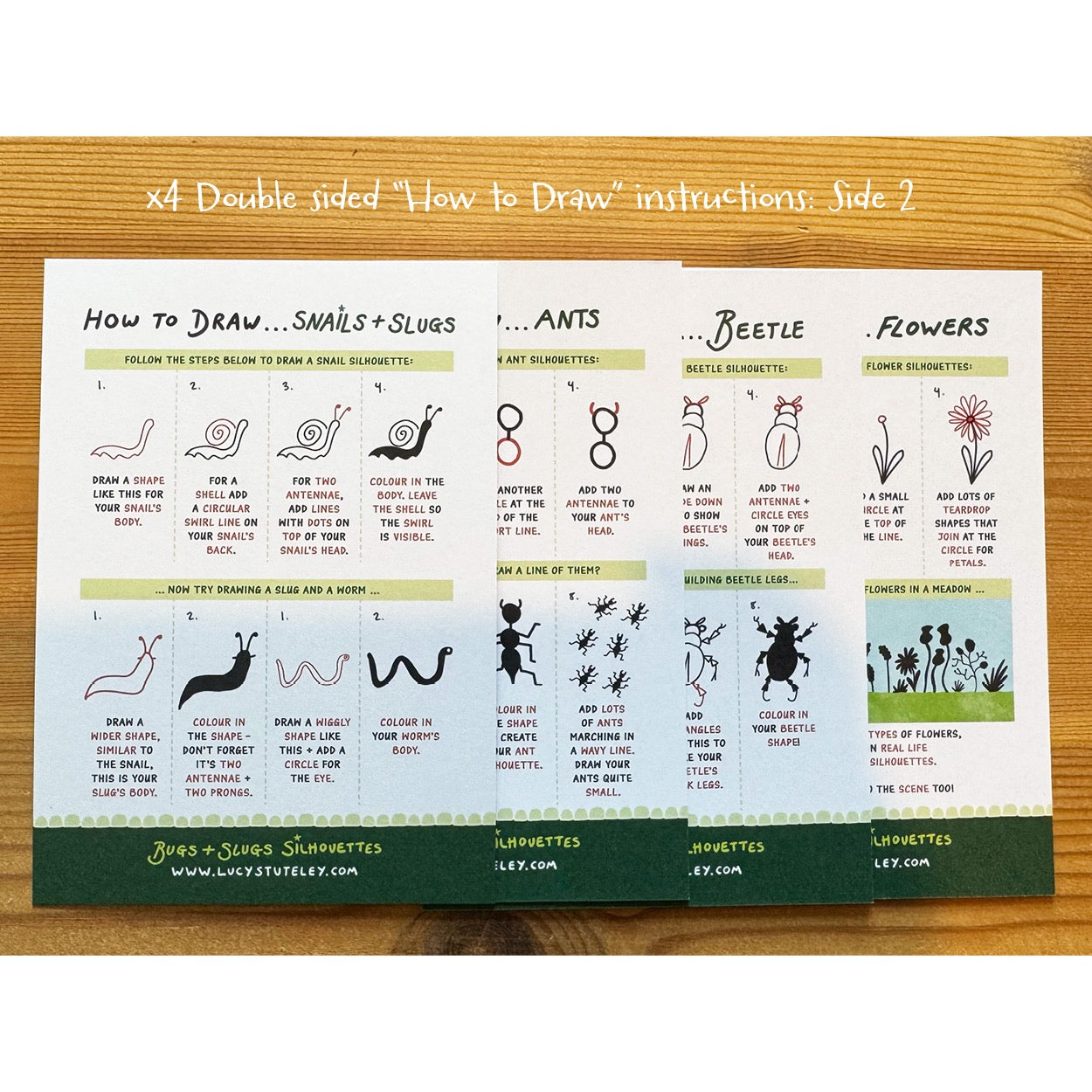 How To Draw... Slugs and Bugs Silhouettes, Activity Postcard