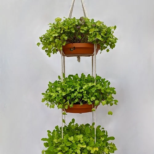 Tiered Tray Hanger | Handmade Recycled Cotton