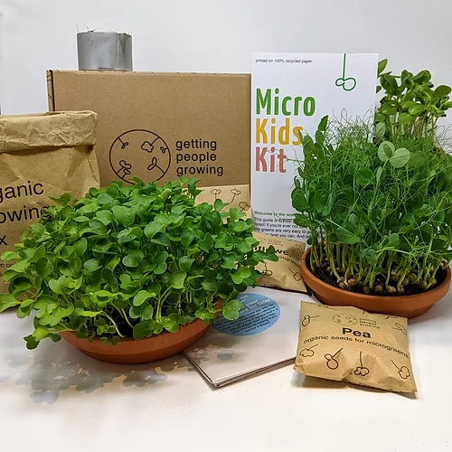 Microgreens Growing Kit for Kids | 15 Grows