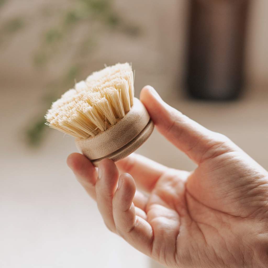 Replacement Head for Bamboo Dish Brush
