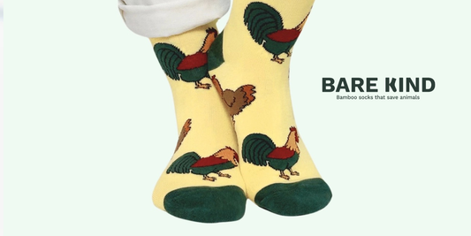Bare Kind Bamboo Socks - Brand Profile