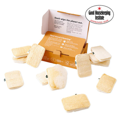 Seep Eco Sponge Scourer | Case of 12