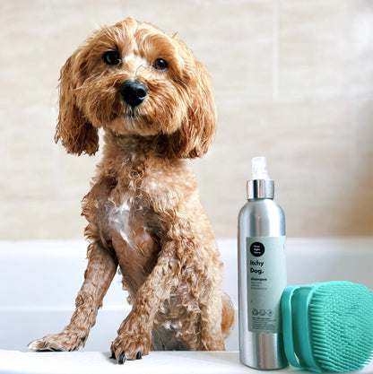 Dog sitting next to a bottle of 'Itchy Dog' shampoo on a white surface.