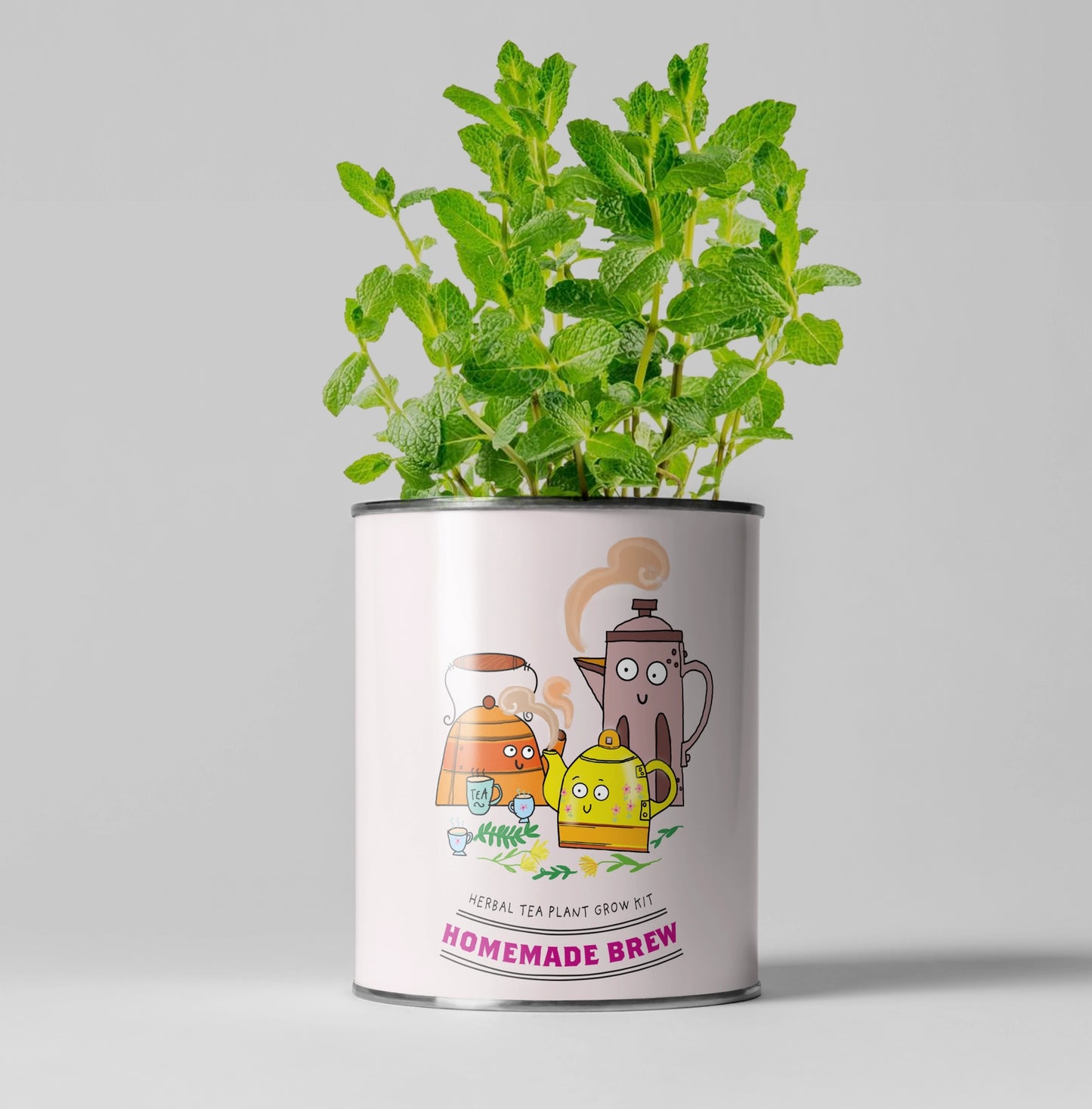 Homemade Brew. Eco Grow Your Own Herbal Tea Kit, Gardening Gift.