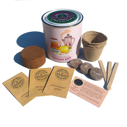 Homemade Brew. Eco Grow Your Own Herbal Tea Kit, Gardening Gift.