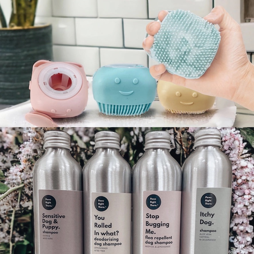 Collection of colorful pet grooming tools and dog shampoo bottles with visible labels.