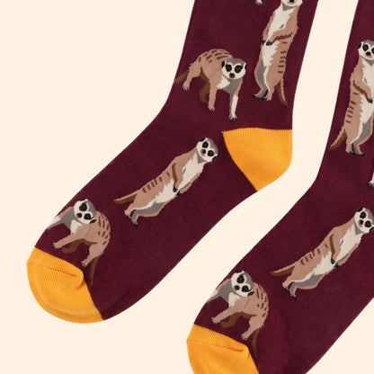 Meerkat Socks | Bamboo Socks | Burgundy Socks