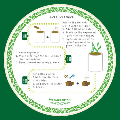 Hairy Pawter. Eco Grow Your Own Cat-Friendly Grow Kit.