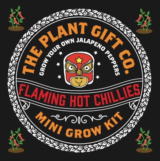 Flaming Hot Chillies. Eco Mini Chilli Grow Kit