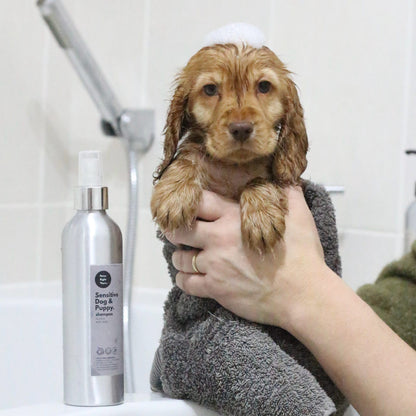 Puppy Shampoo | Sensitive Dog Shampoo | Natural Olive & Aloe