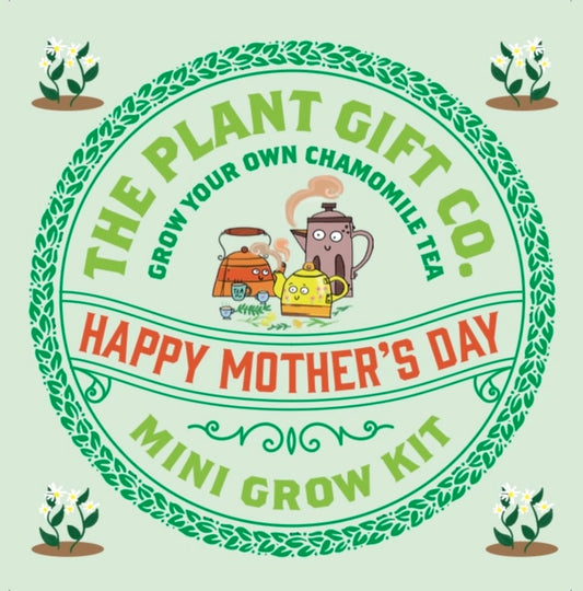 Happy Mother's Day. Chamomile Herbal Tea. Eco Mini Grow-Kit