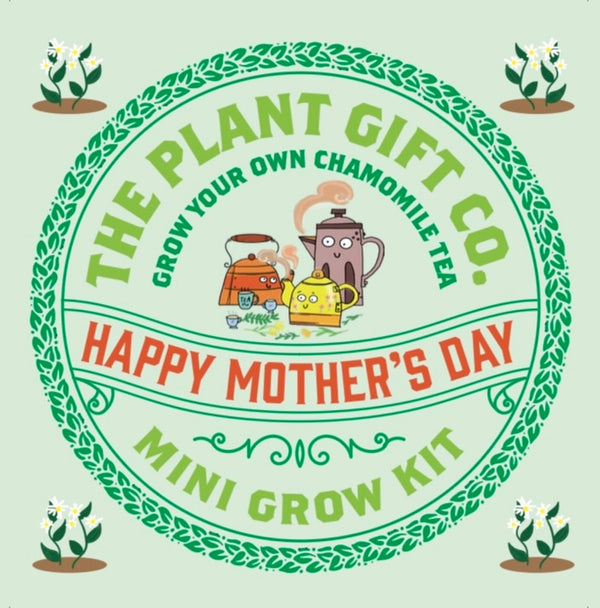 Mother's Day Chamomile Tea Mini Grow Kit