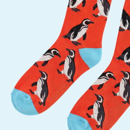 Humboldt Penguin Socks | Bamboo Socks | Orange Socks