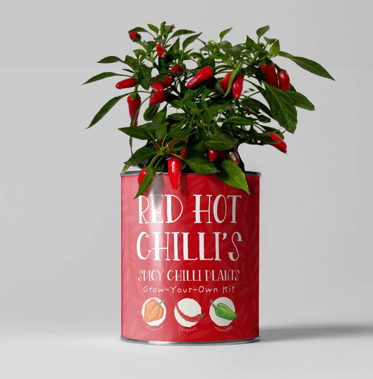 Red Hot Chilli's. Eco Grow Your Chilli Plant, Gardening Kit