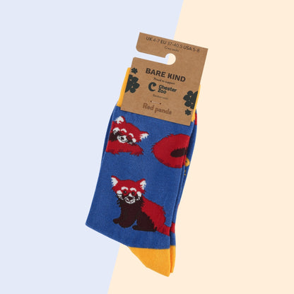 Red Panda Socks | Bamboo Socks | Blue Socks