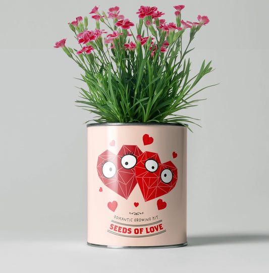 Seeds of Love. Eco Grow Your Own Plant Kit, Gardening Kit