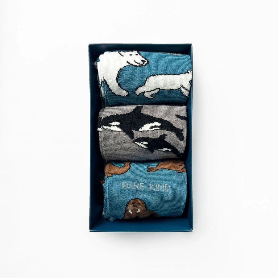Arctic Socks | Bamboo Socks Gift Box | 3 Pairs Socks