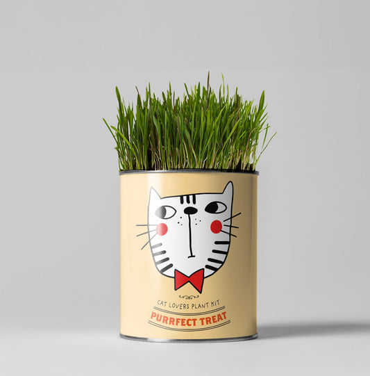 Purrfect Treat. Eco Grow Your Own Plant Kit, Gardening Kit. Cat Plants