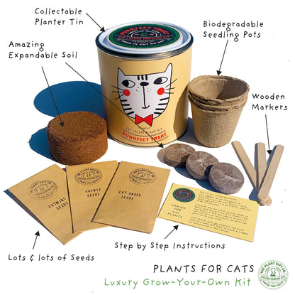 Purrfect Treat. Eco Grow Your Own Plant Kit, Gardening Kit. Cat Plants