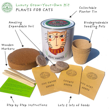 Hairy Pawter. Eco Grow Your Own Cat-Friendly Grow Kit.