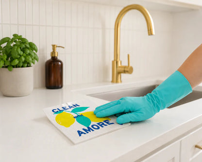 Seep Amore Sponge Cloths | Pack of 4