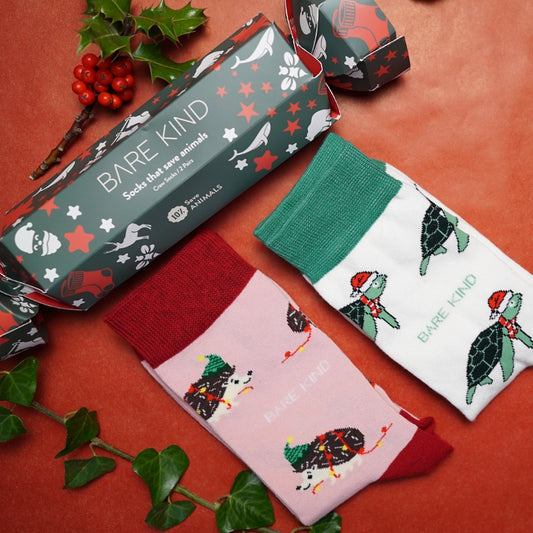 Christmas Socks Cracker | Bamboo Socks | Gift Set