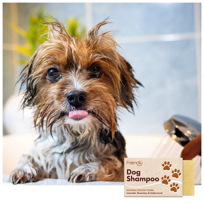Friendly Soap | Dog Shampoo