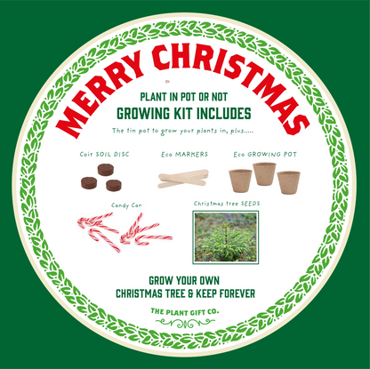 Merry Christmas, Grow Your Own Xmas Tree, Plus Candy Canes