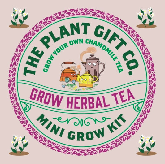 Herbal Tea. Eco Mini Grow-Kit